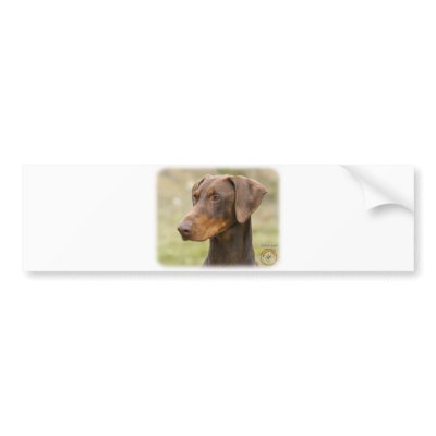 Doberman Bumper Sticker by TraffordPhotos