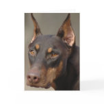 Doberman Greeting Cards