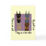 Doberman colours