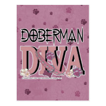 Doberman DIVA Post Cards
