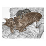 Doberman Dog with Dobe Puppy on Chair Personalized Invite