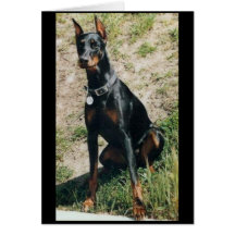 Doberman greeting card