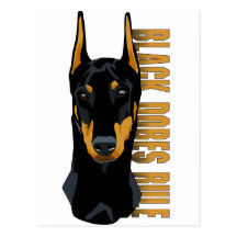 Doberman Head, Black Dobes Rule Post Card