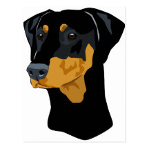Doberman Head, Black, Uncropped Postcards