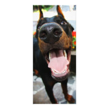 Doberman Invitation
