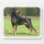 Doberman Mouse Mats