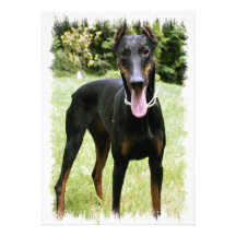 Doberman Pinscher Dog Invitation