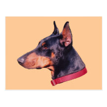 Doberman Pinscher Face Dog Postcard