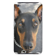 Doberman Pinscher iTouch Case iPod Touch Case