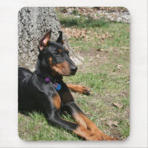 Doberman Pinscher Mouse Pads