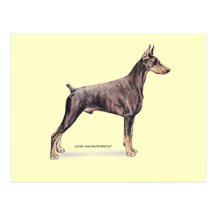 Doberman Pinscher Postcards