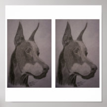 Doberman_Pinscher Posters