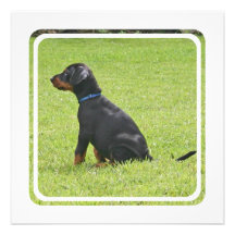 Doberman Pinscher Puppy Invitation