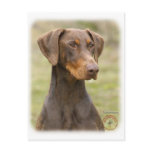 Doberman Post Cards