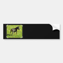 Doberman Puppies Bumper Sticker