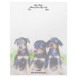 Doberman Puppies Letterhead