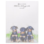 Doberman puppies letterhead