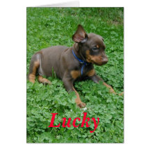 Doberman Puppy, Lucky Greeting Card