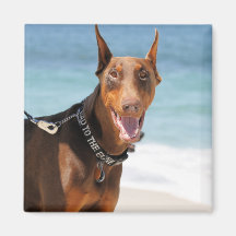Doberman - Red - Bad to the Bone Fridge Magnet