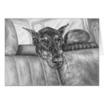 Doberman Riding in Car Drawing by Kelli Swan Card