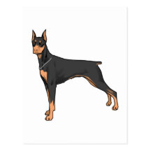 Dobermann doberman postkarten