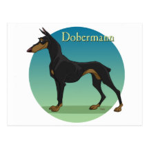 dobermann post cards