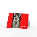 Doc Card