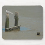 Dock in the Mud Mousepad