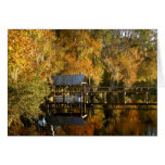 Dock of the Bay cards