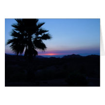 Dockweiler Beach Card
