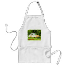 Dodge Junk Yard Car Apron