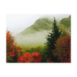 Dodge Road Mist (bright) Post Cards