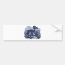 Dodo Bird Bumper Stickers