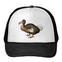 Dodo Hat