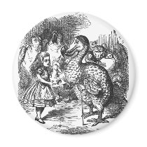 Dodo magnets