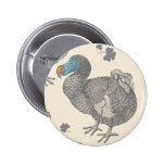 Dodo pin
