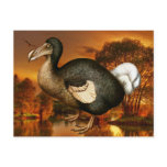 Dodo Postcards