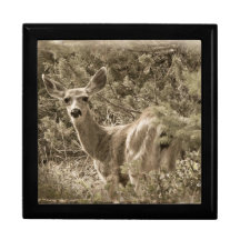 Doe Jewellery or Treasure Gift Box