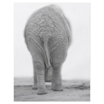 Does my bum look big flyers