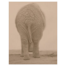 does my bum look big sepia full color flyer
