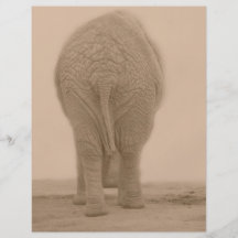 does my bum look big sepia full color flyer
