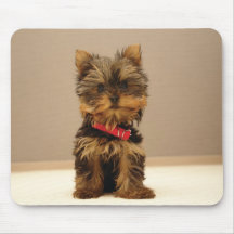 dog1 mouse pads