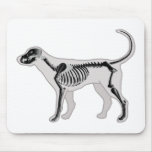DOG ANATOMY X-RAY VET MOUSE PADS