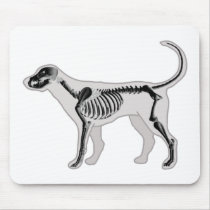 DOG ANATOMY X-RAY VET MOUSE PADS