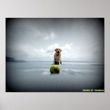 Dog and ball print
