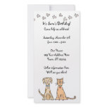 Dog and Cat Birthday Invitation photo cards