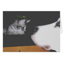 Dog and Kitten Cards