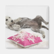Dog behaviour training fridge magnet