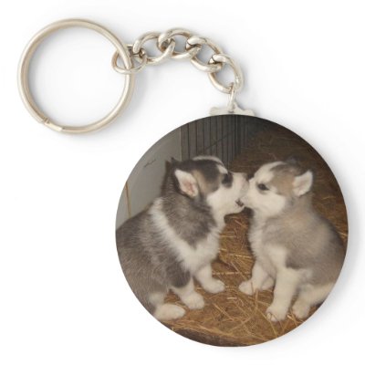 dog biting dogs mouth key chains by eleyeesay7