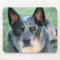 dog - blue heeler1 mouse pad